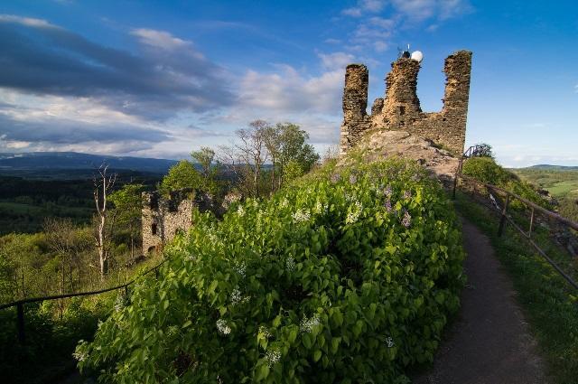 Pension Jezdecke Centrum Kocik Struzna Экстерьер фото